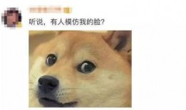 微信吃瓜表情包是什么意思